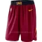 Cleveland Cavaliers Pantaloncini da Basket Icon Edition Swingman