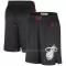 Miami Heat Pantaloncini da Basket City Edition Swingman