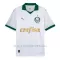 Maglia Palmeiras Gara Away 2024/25