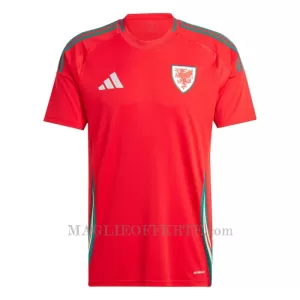 Maglia Galles Gara Home 2024