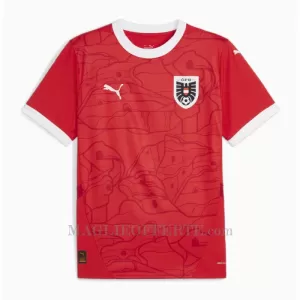 Maglia Austria Gara Home Euro 2024