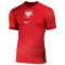Maglia Polonia Gara Away Euro 2024