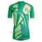 Maglia Portiere Italia Euro 2024 Verde