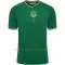 Maglia AS Saint-Étienne Anniversario 2023/24