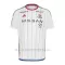 Maglia Yokohama F. Marinos Gara Away 2024/25