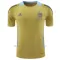 Maglia Argentina Pre-Match 2024 Giallo