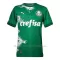 Maglia Palmeiras 2024 Verde (Speciell)