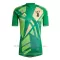 Maglia Portiere Juventus Gara Away 2024/25