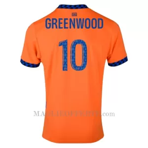 Maglia Olympique Marsiglia Greenwood 10 Gara Third 2024/25