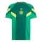 Maglia Celtic Retro 2024/25