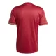 Maglia FC Bayern Monaco Anniversario 2024/25