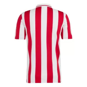 Maglia Olympiakos 100th Anniversario 2024/25