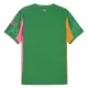 Maglia Portiere Manchester City 2025/26 Verde