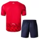Maglia Lille OSC Bambino Gara Home 2025/26