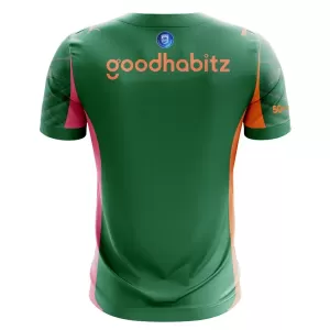 Maglia Portiere PSV Eindhoven 2025/26 Verde