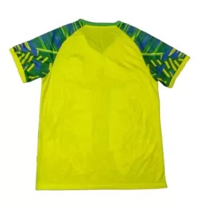 Maglia Brasile 2025 Verde (Speciell)