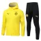 Borussia Dortmund Giacca da allenamento con cappuccio 2025/26 Giallo