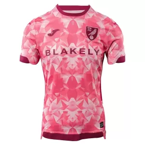 Maglia Norwich City Gara Third 2025/26