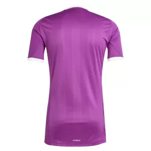Maglia Portiere Aston Villa 2025/26 Viola