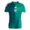 Maglia Irlanda del Nord Gara Home Mondiali 2026