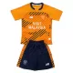 Maglia Cardiff City Bambino Gara Third 2025/26