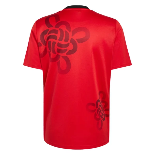 Maglia Manchester United Cultural Story 2025/26 (Speciell)