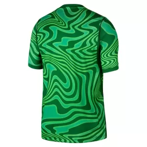 Maglia Portiere Brasile Gara Home Mondiali 2026 Verde