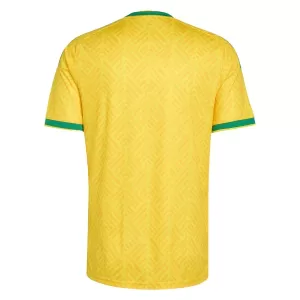 Maglia Sudafrica Gara Home Mondiali 2026