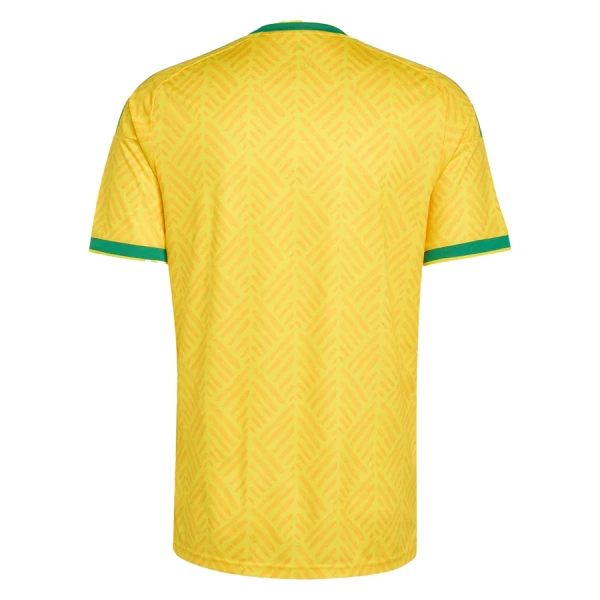 Maglia Sudafrica Gara Home Mondiali 2026