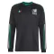 Maglia Messico Gara Third Mondiali 2026 Maniche Lunghe