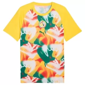 Maglia Senegal Pre-Match Mondiali 2026