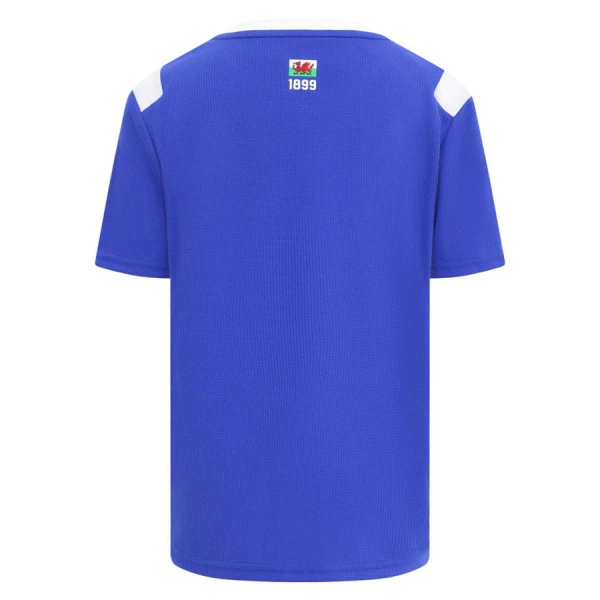 Maglia Cardiff City Gara Home 2026/27